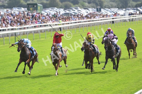 yr05092021r1-38 - Race 1 2.10pm IRE-Incentive It Pays To Buy Irish ebfstallions.com Novice Stakes