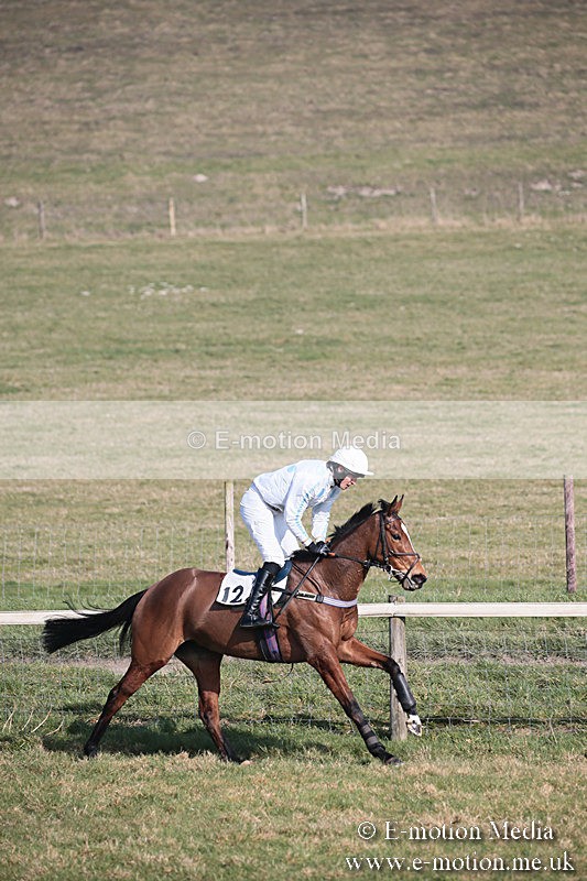 PtP 230219 252 - Vine & Craven Point-To-Point - Barbury 23/02/19