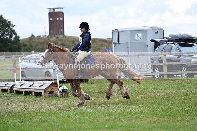 WJ7_7713 - 40cm Time 10:49 to 11:18
