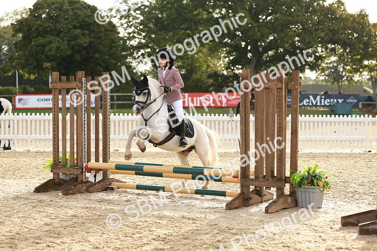 SBM_55549 - J11 - Junior Pony 50cm Championship