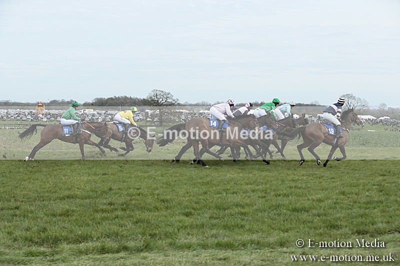 PtP 230319 166 - VWH Hunt Siddington Point-to-Point Racing 23/03/19