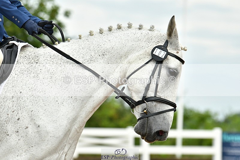 230708A-085858-01936 - Prelim 13