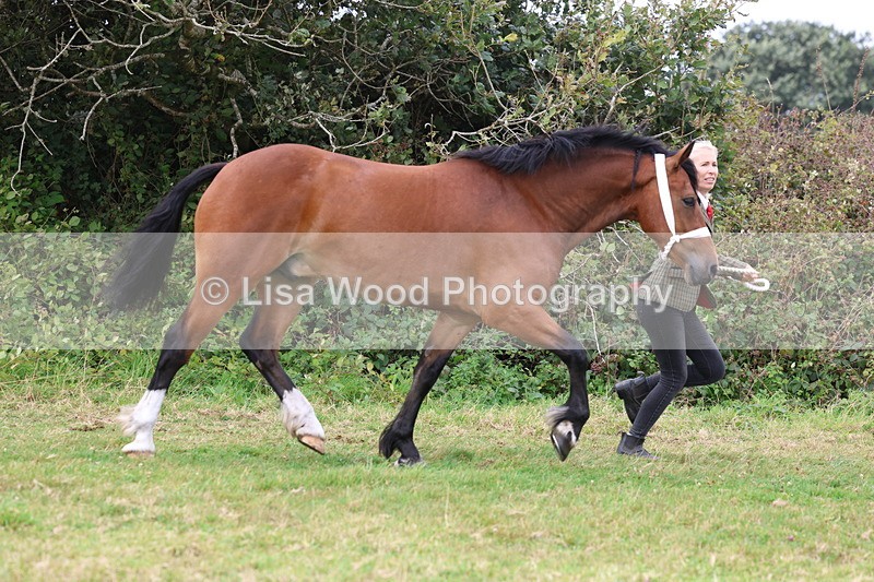 3E7A4376 - Class 15: Three Year Olds