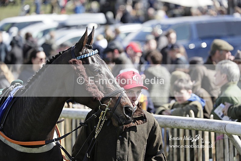 PtP 100423 475 - Old Berkshire Point-to-Point Lockinge 10/04/23