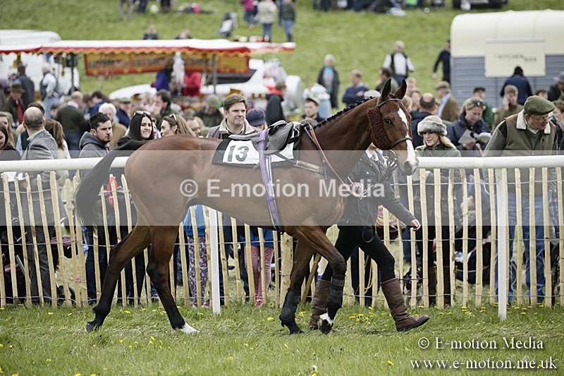 PtP 170417 480 - Old Berks Point-to-Point Lockinge 17/04/17