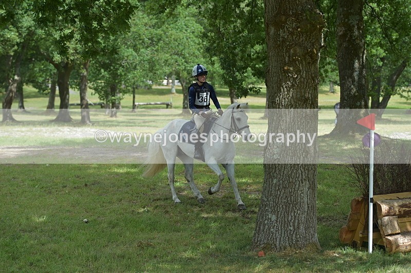 NGP_7866 - Time 11:28 to 11:38