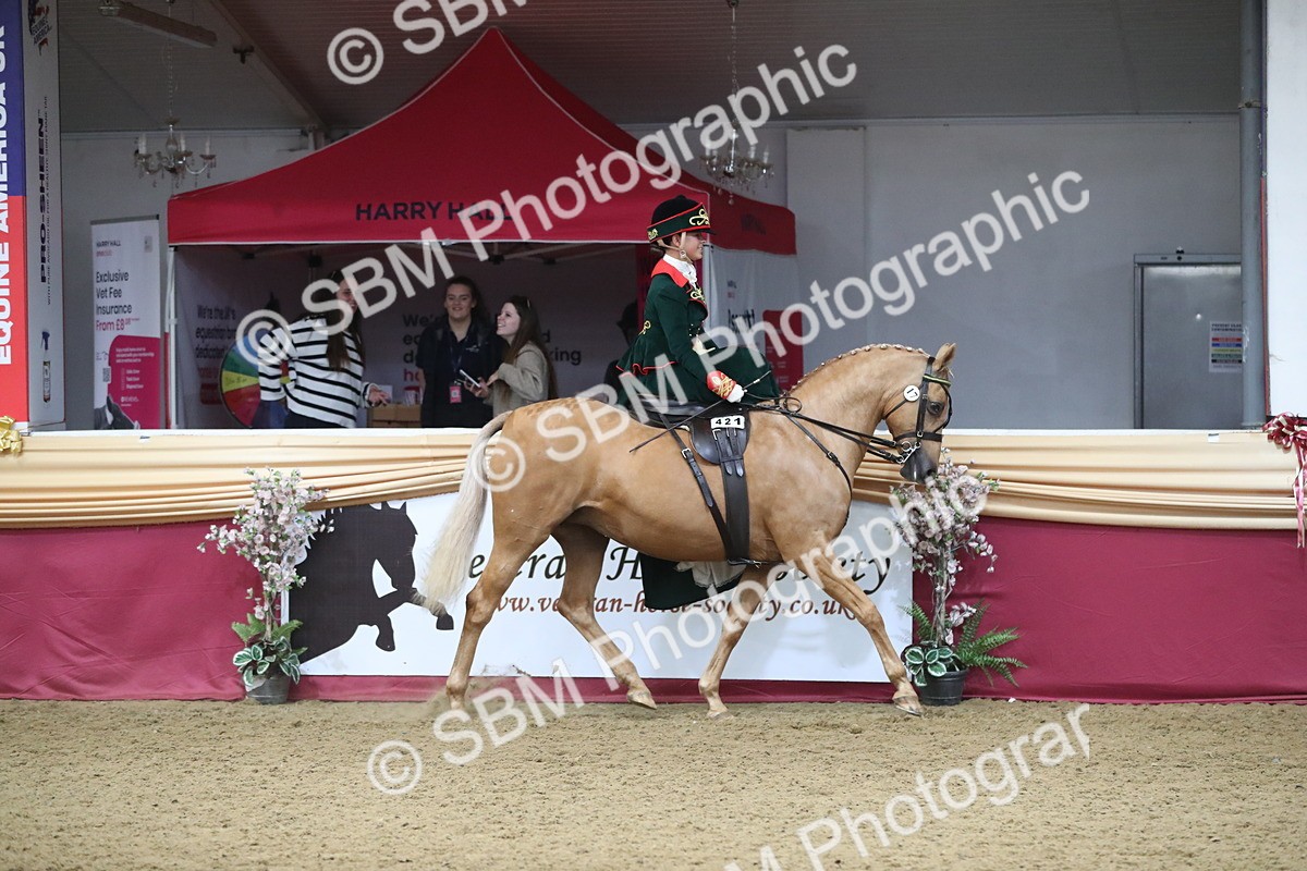 SBM_11530 - Class 105 Ridden Costume- Side Saddle