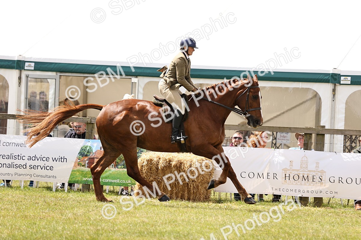 SBM_14727 - Class 88-89 - LIHS BSHA Rising Star of Ridden Hunter Type