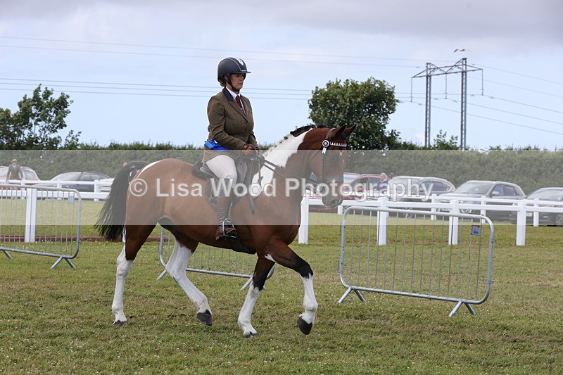 1X9A4658 - Class 34: Veteran Ridden