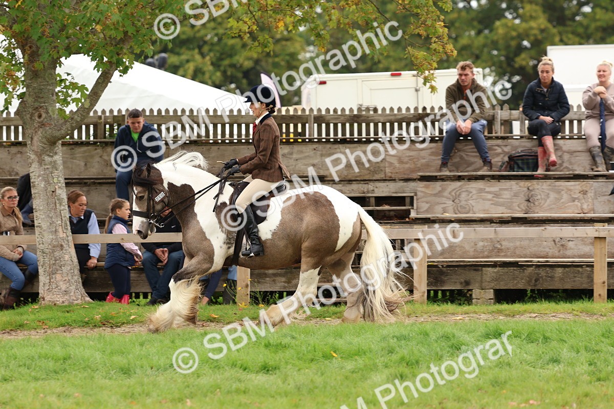 SBM_64499 - S58 - Coloured Pony Ridden
