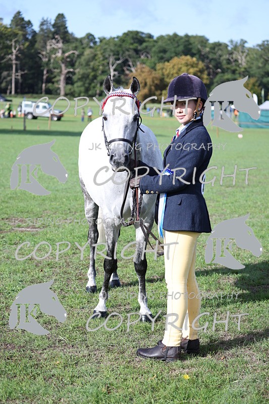 APP_2546 - Class 18 Young Handler