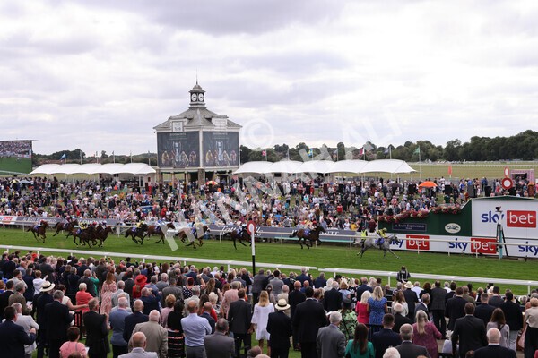 yr17082022r5-40 - Race 5 4.10pm Sky Bet Stayers Stakes