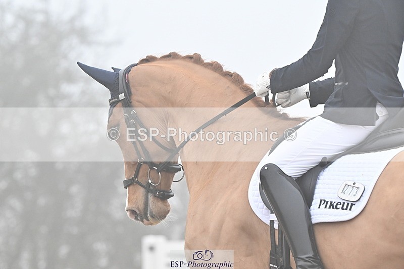 240217A-103258-01120 - 273-Tom.Carter-Newton.Dreamcatcher