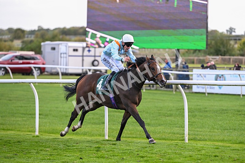 171026-Race 7-Lexington Blitz-6401 - Race 7 4.45pm William Hill Catterick Dash Handicap