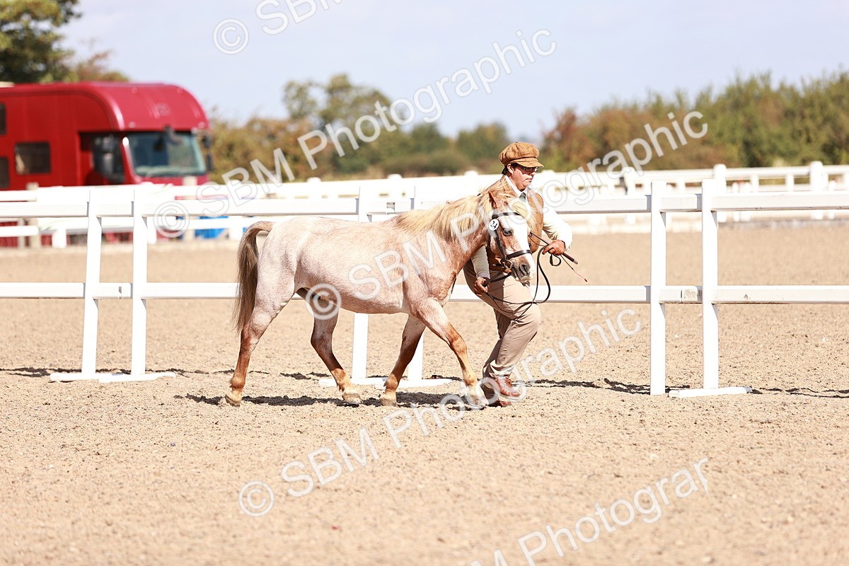 SBM_22884 - Class 706 - IH Veteran