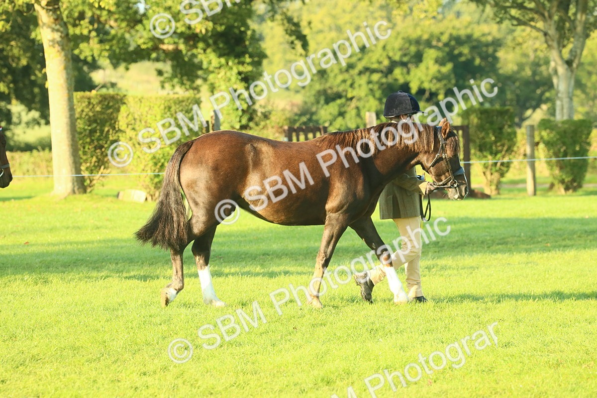 SBM_56773 - S36 - Starters Best Turnout