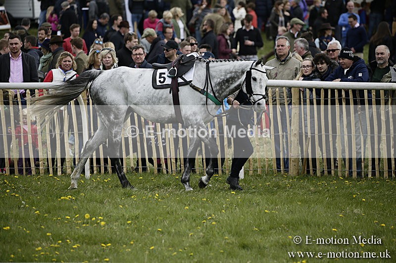 PtP 170417 53 - Old Berks Point-to-Point Lockinge 17/04/17