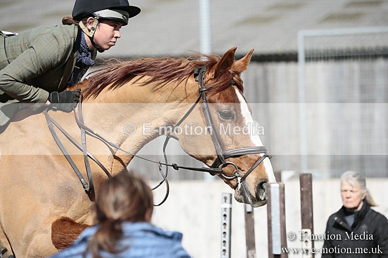 BVRC SJ 170319 351 - Bourne Valley Riding Club Showjumping 17/03/19