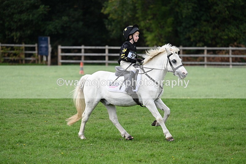 WJ7_3827 - 40cm Time 10:26 to 10:42