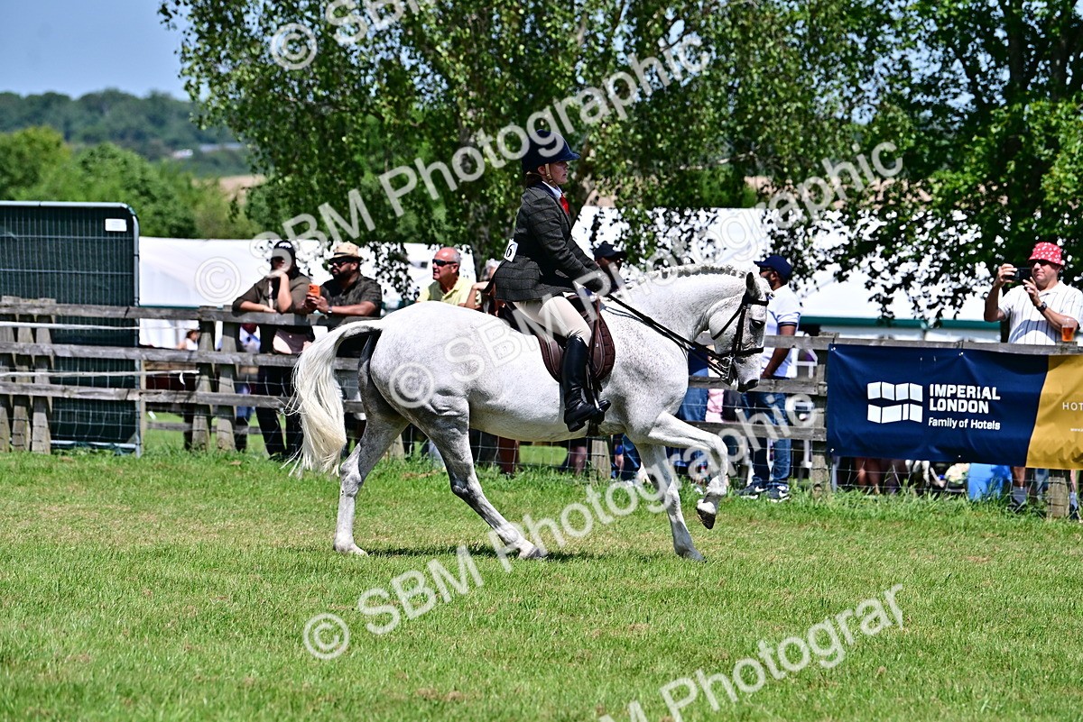 SBM_17404 - Class 95-97 - BSPS LHS Performance Ponies