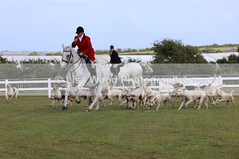 3E7A3446 - Parade of Hounds
