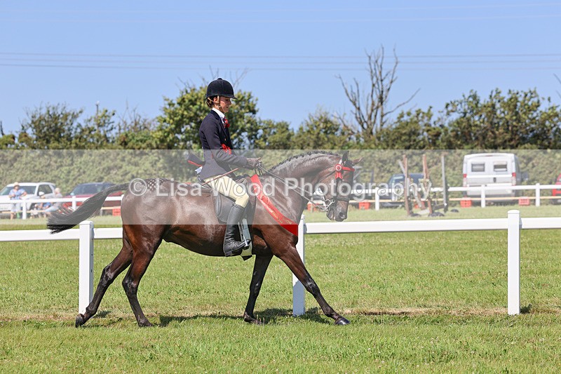 IMG_2160 - Plaited Ridden Championship