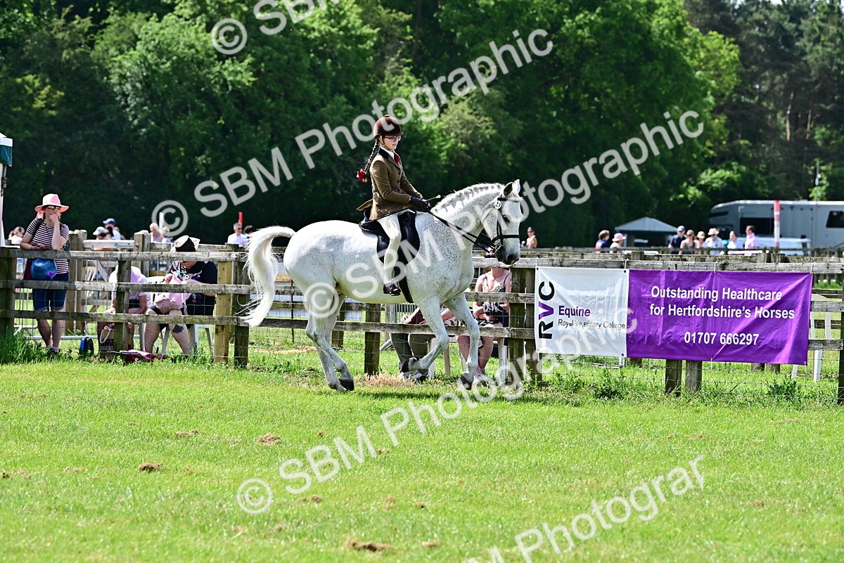 SBM_03730 - Class 58 - TSR  Ridden Veteran Amateur of the year