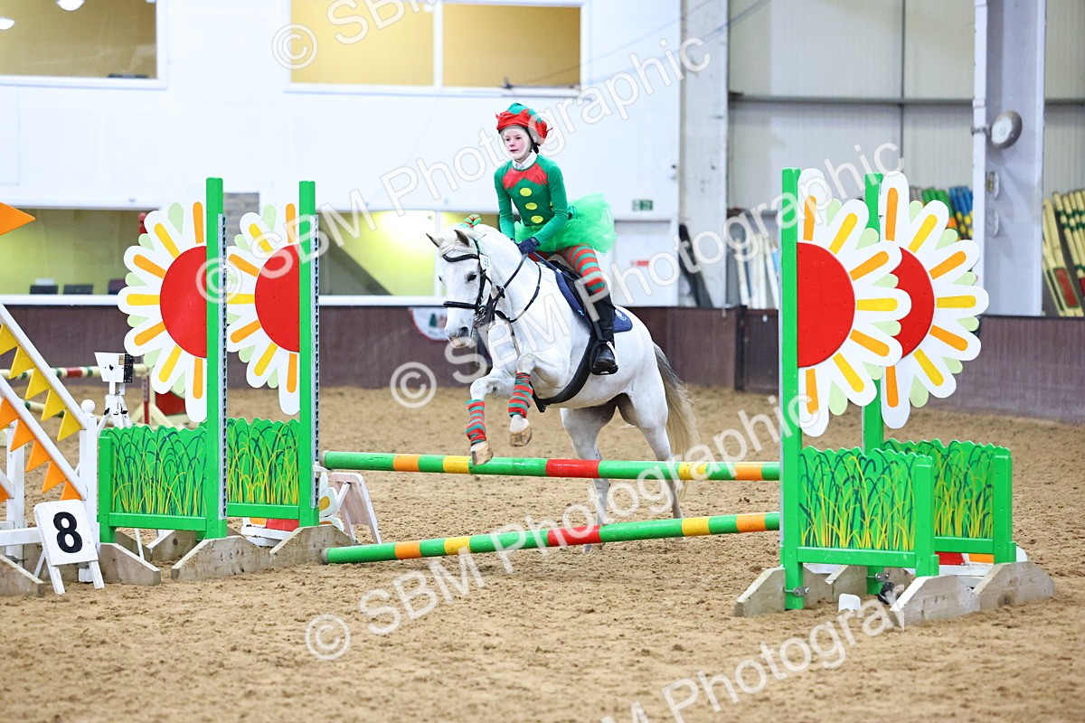 SBM_001374 - Class 3 - Christmas Tree Stakes - 60cm