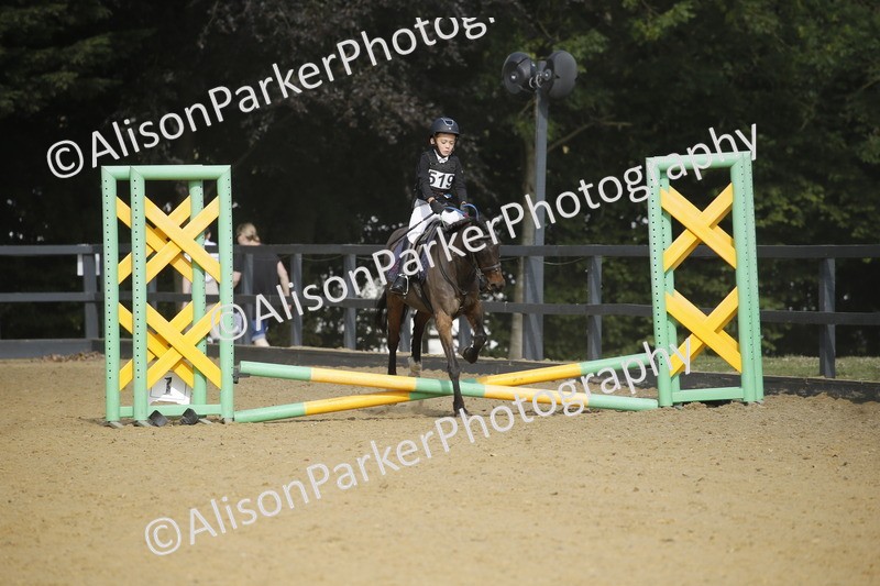 20250622-1376 - 40cm