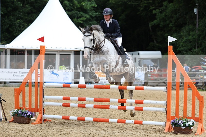 3E7A6512 - Class 4: Senior British Novice/90cm open