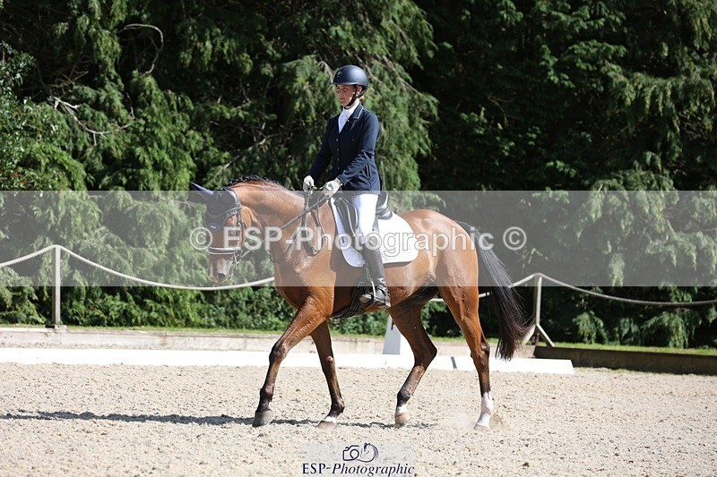 230811-154233-02508 - Cls 1 Prelim Bronze 15.00 to End