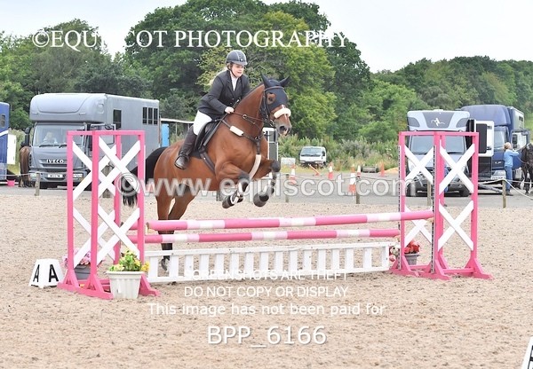 BPP_6166 - CLASS 2 Club/ Unaffiliated 80cms Open