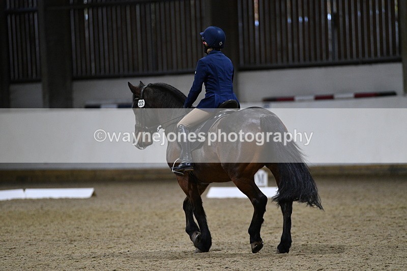 WJ5_8492 - Class 5 Novice Test 3