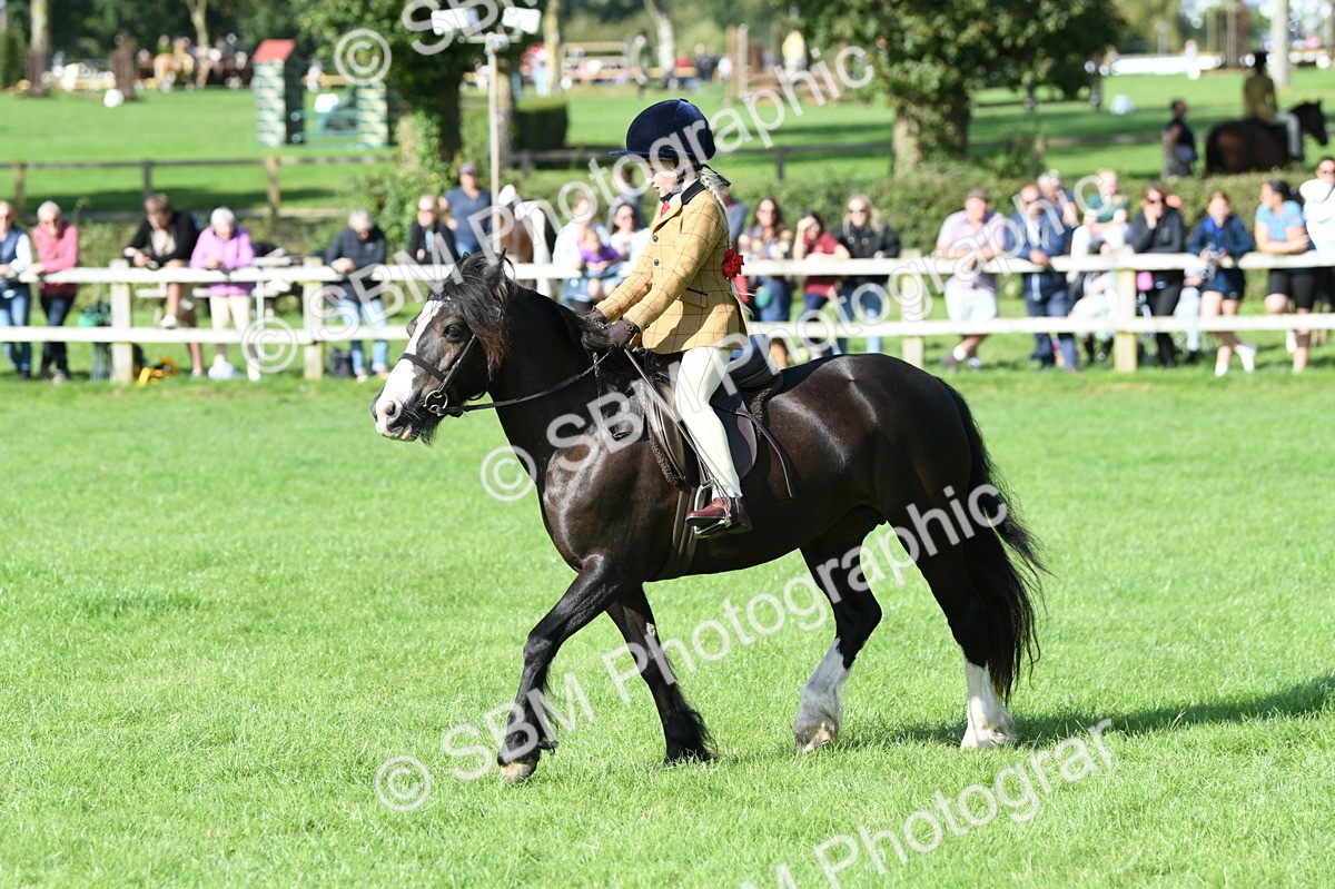 SBM_50365 - S21 - Novice & Newcomers 1st Ridden Pony