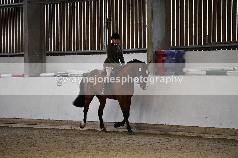 WJ5_8775 - Class 15 Ridden Show Horse