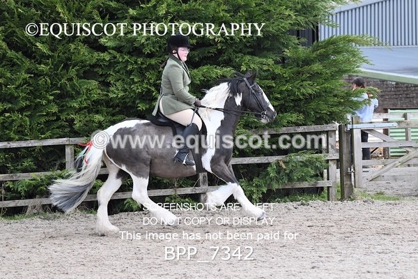 BPP_7342 - RING 1  (RIDDEN HORSES / IN HAND / VETERAN ETC)