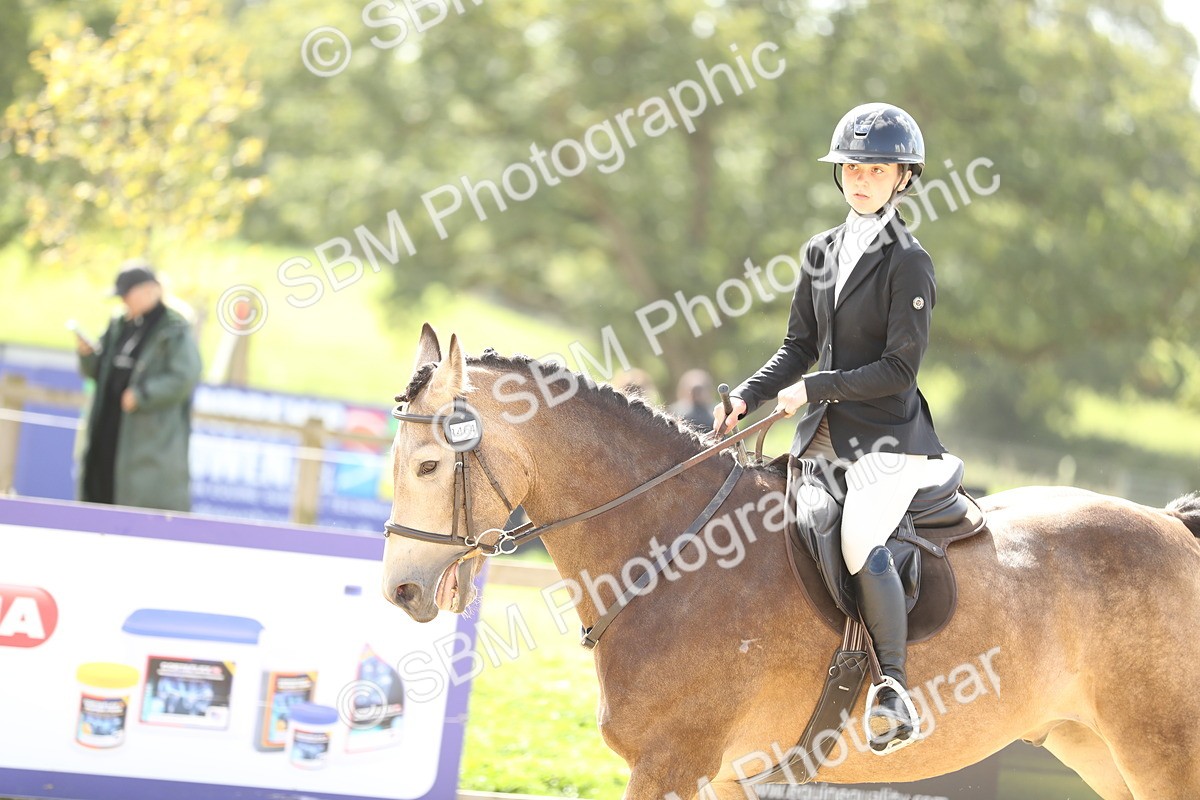 SBM_06400 - J29 - Senior Horse & Pony 65cm Championship