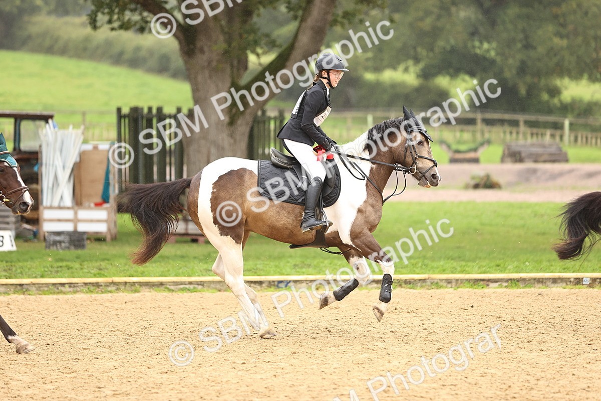 SBM_70118 - Supreme Championship 80cm 85cm