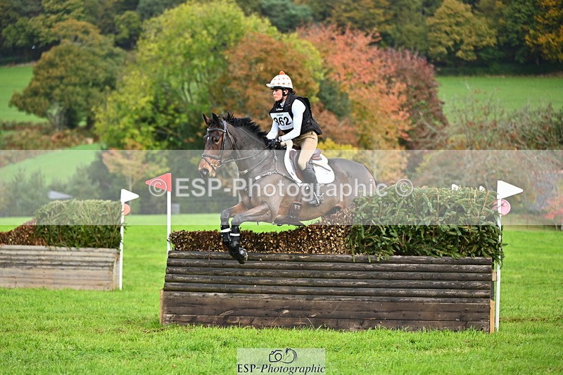 251025A-105254-16907 - D-362-Tanya.Viol