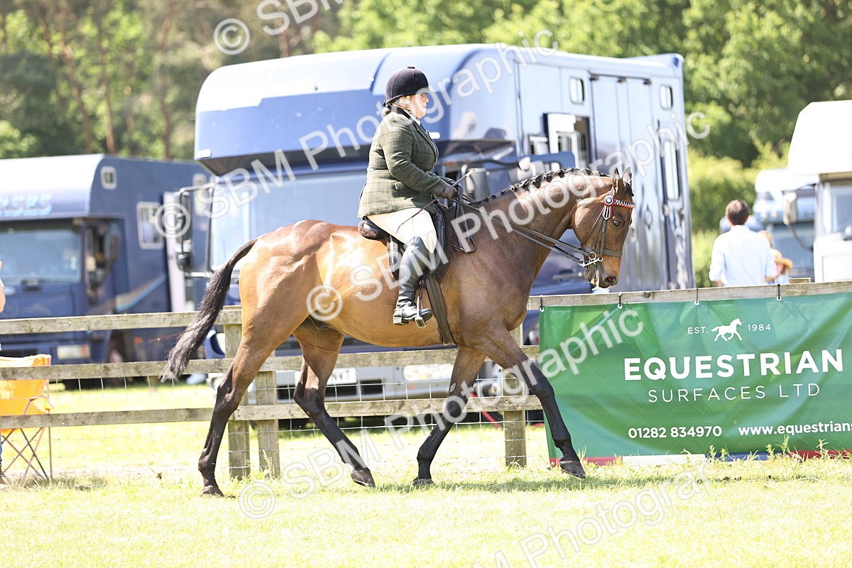 SBM_14833 - Class 78 - LIHS BSHA Open Racehorse & Show Horse