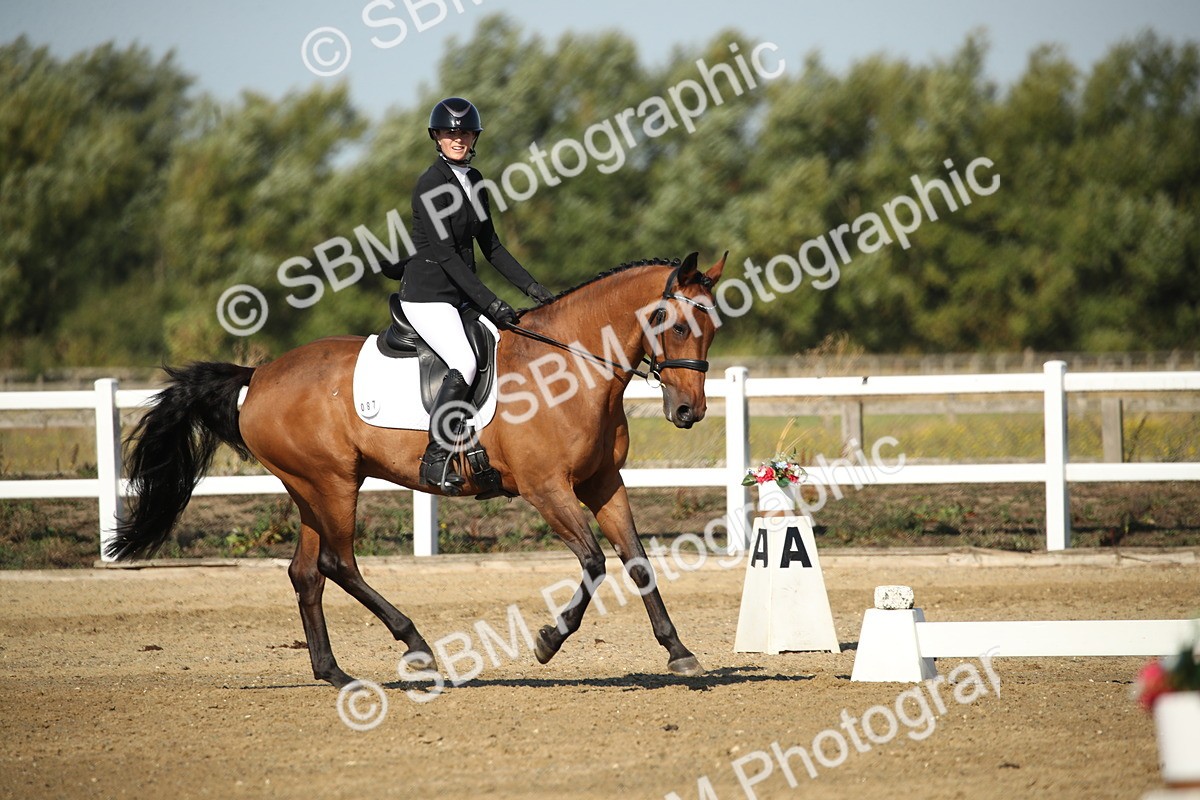 SBM_004552 - Class 11 - Novice 5 - 9.0010.03