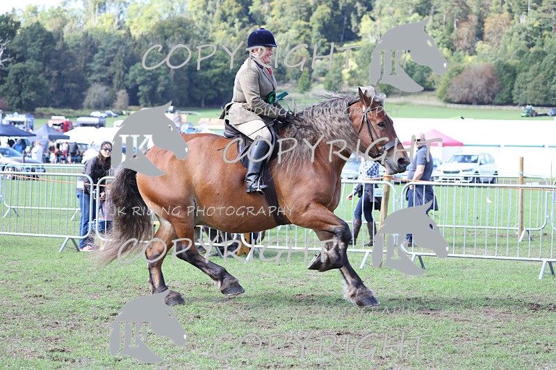 APP_3788 - Class 8 Ridden Class