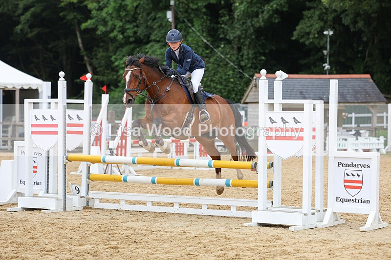 3E7A6846 - Class 13: Pony British Noise/80cm open