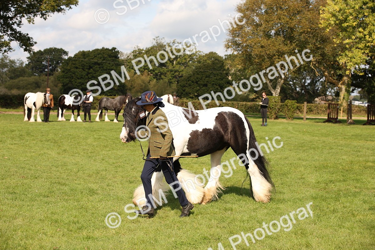 SBM_62287 - S55 - Traditional Cob In Hand
