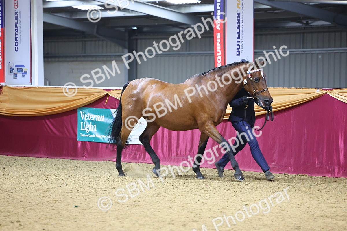 SBM_19637 - Class 901 - Supreme Final - IH Diamond