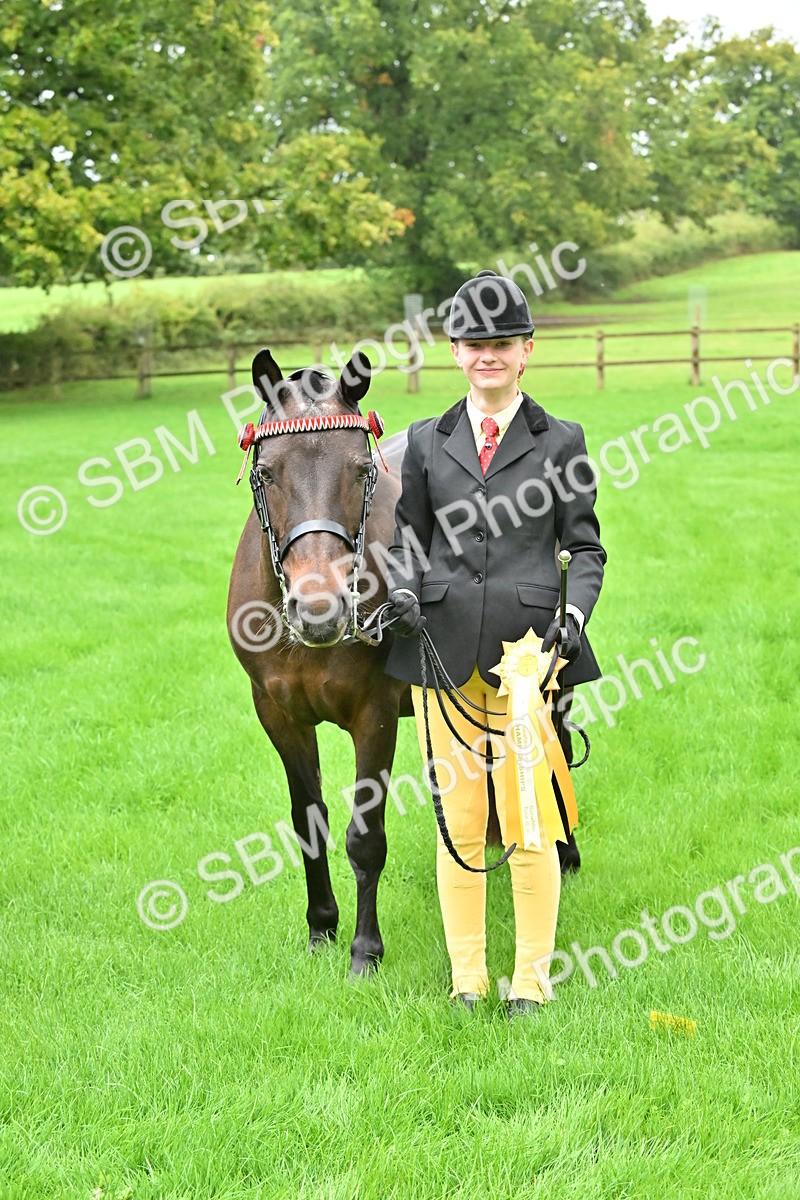 SBM_32665 - S15 - Top Turnout In Hand