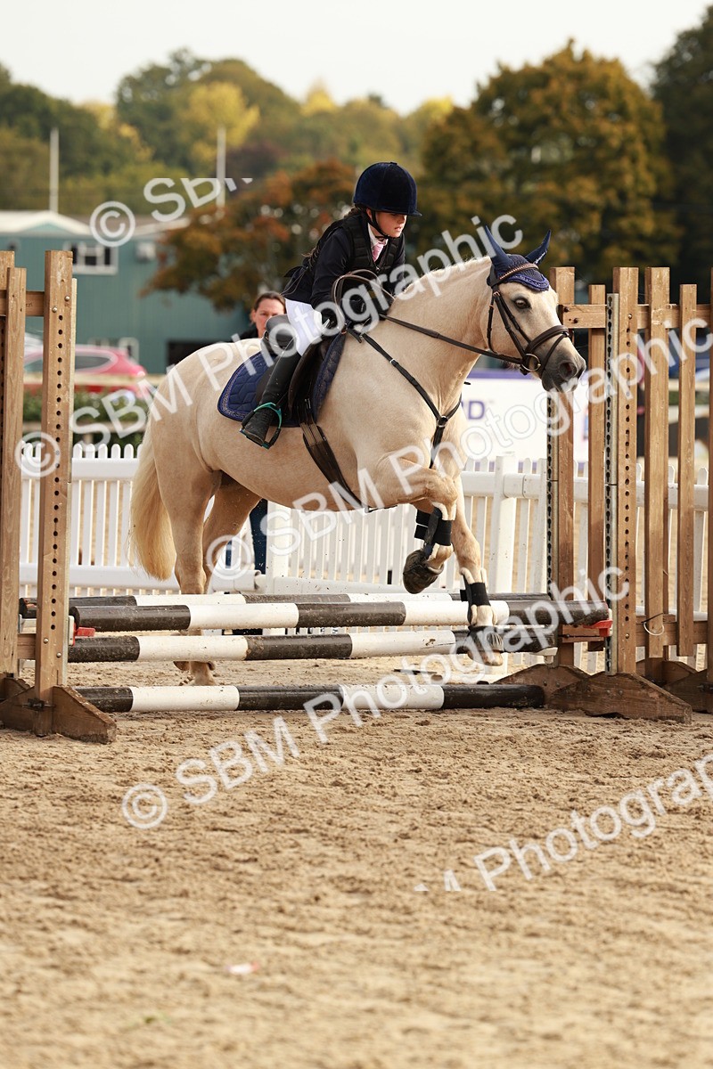 SBM_55718 - J11 - Junior Pony 50cm Championship