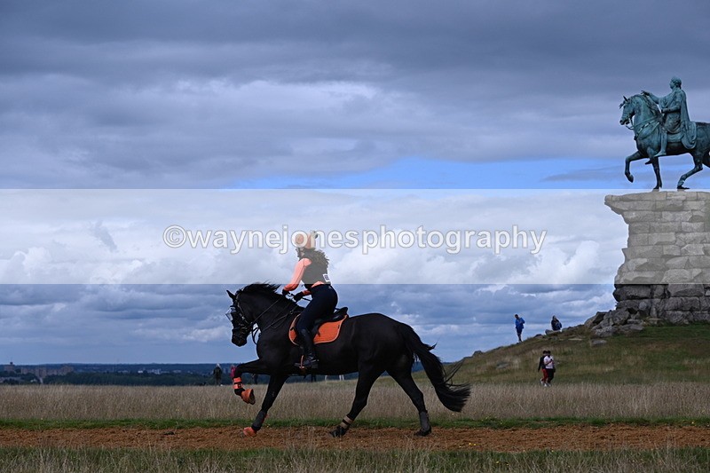 DSC_8859 - Time at Statue 14:33 to 15:10