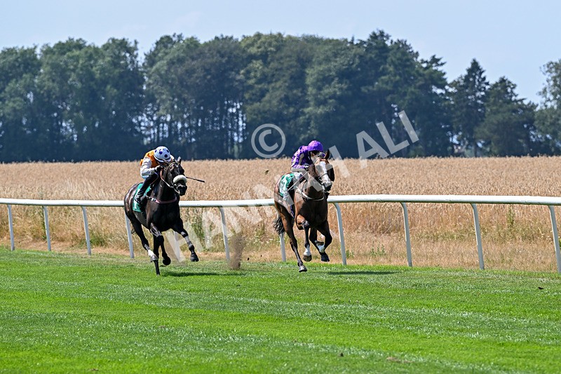 160726-Race 2-Hatamoto-4209 - Race 2 14.28pm By Chen Presidential Apprentice Handicap