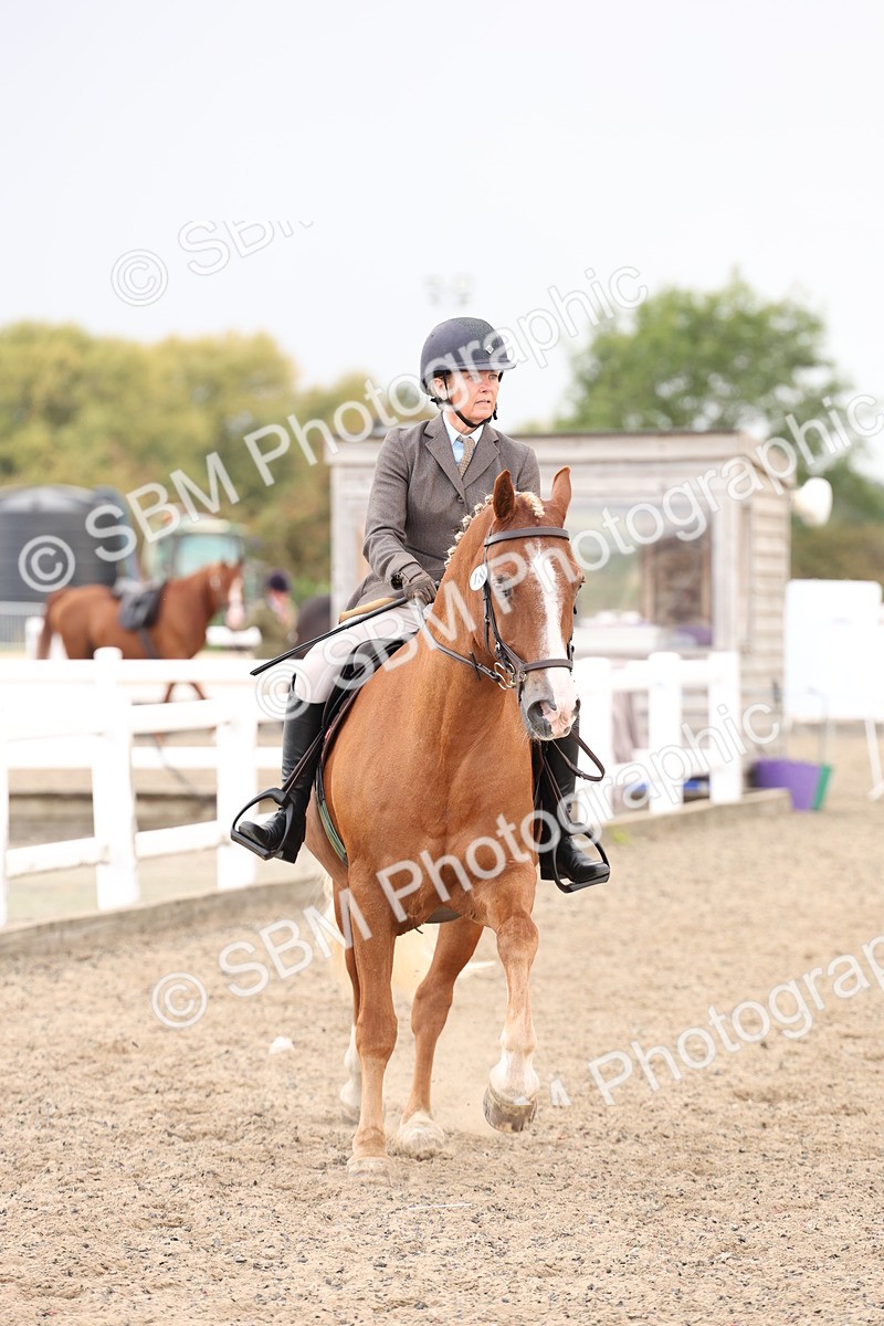 SBM_07484 - Class 59a -  Style & Performance - 80cm (15-19)